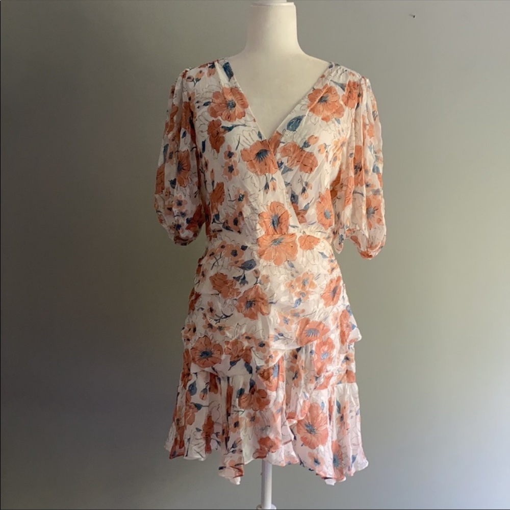 Rebecca Taylor Amelie Dress - Picture 6 of 9